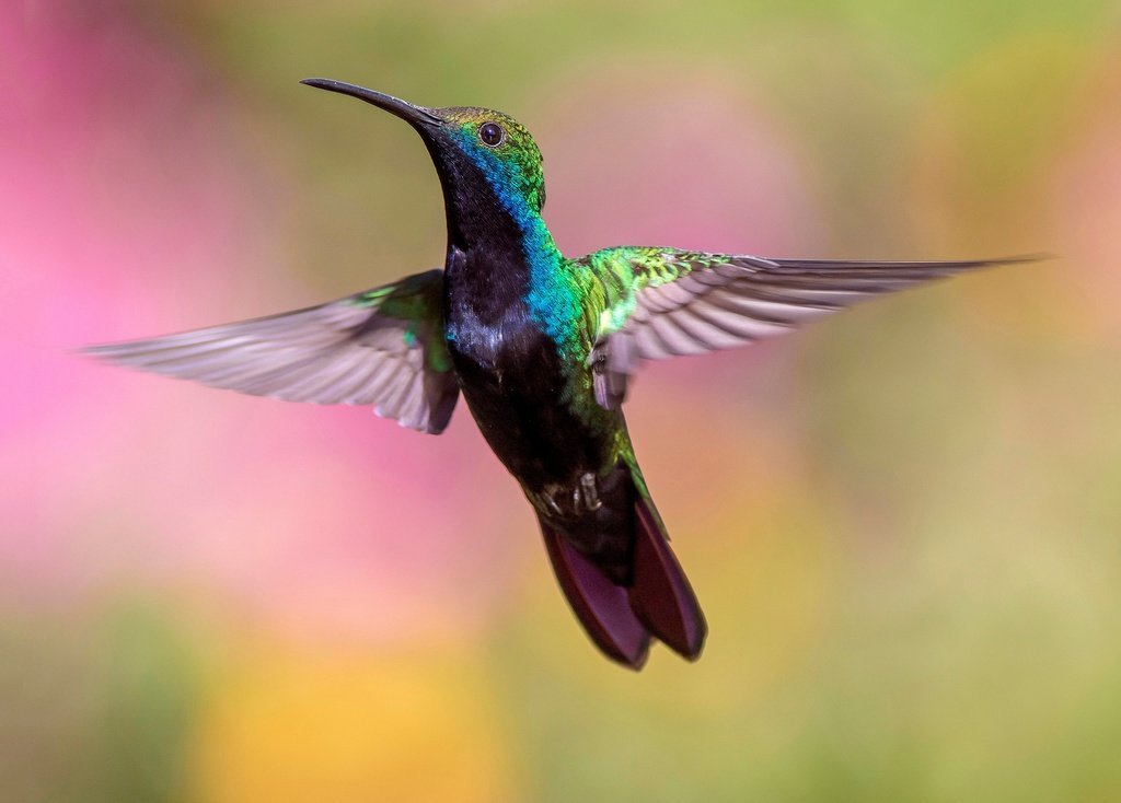 New Photography Trends for 2023